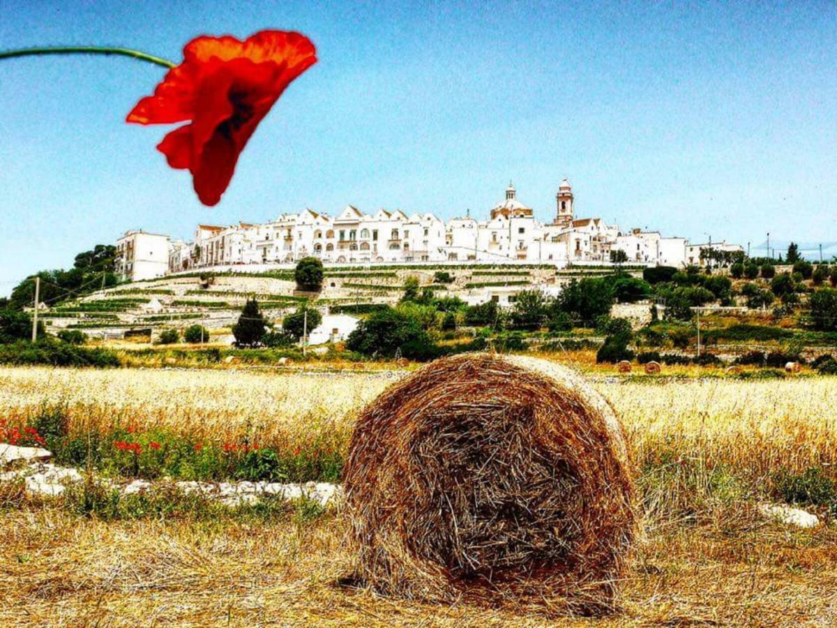 Вилла Trulli Francesca Ciclovia Локоротондо Экстерьер фото